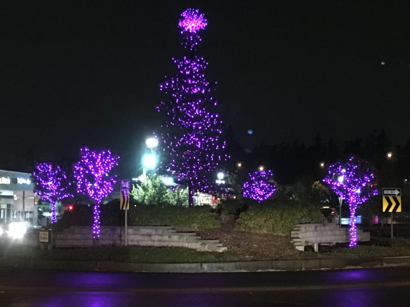 Covington Purple Lights Night